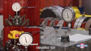 Valvitalia Group  Special Valve Tests [upl. by Schultz]