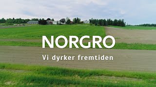 Norgro  Reddik [upl. by Crelin]