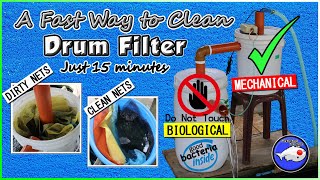 How to Clean Drum Filter for Koi Pond [upl. by Hairabez484]