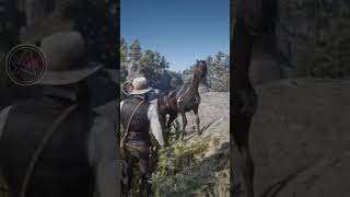 🔥🐎 ¿SABÍAS ESTO de RED DEAD REDEMPTION 2 CABALLO ÁRABE NEGRO ATIGRADO 😱 shorts arkaygamingtv [upl. by Raymonds921]