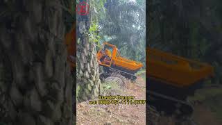 5ton crawler dumper infield palm plantation FFB transport vehicle [upl. by Atem]