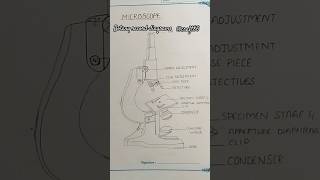 Botany record diagrams botany record diagram shorts [upl. by Edgar]