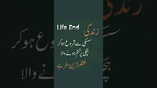 Start life end lifequotes [upl. by Kamerman]