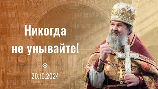 Никогда не унывайте Проповедь прот Андрея Лемешонка 20 октября 2024 г [upl. by Sale]