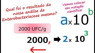 Notação Científica para análises microbiológicas [upl. by Dolphin]