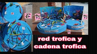 Maqueta de cadena alimenticia y red alimenticia o cadena trofica y red trofica [upl. by Diahann]