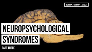 Introduction to Neuropsychological Syndromes Part Three [upl. by Enogitna]