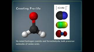 51 Formation of Nucleotides and Amino Acids [upl. by Ail81]