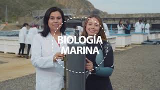 Biología Marina UNAB 2022 [upl. by Ymeon]