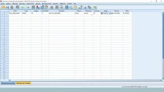 Apprenez SPSS en 30 minutes [upl. by Eanrahc]