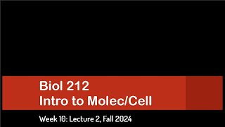 CSULB Biol 212 Fall 2024  Week 10 Lecture 2 [upl. by Enairda]