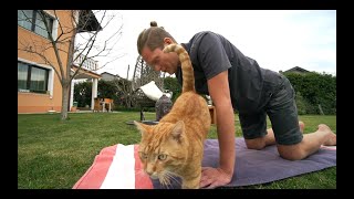 Yoga Morgenroutine zum mobilisieren der Wirbelsäule [upl. by Clie415]