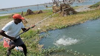 Big Fishes hunting amp Catching by Professional FishermanUnbelievable Hook fishing video [upl. by Prager919]