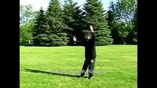 Tai Chi Qigong Shibashi Free Chi Kung Video [upl. by Naujit]