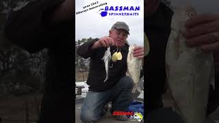 Bassman Spinnerbaits  Always Innovating fishing bassmanspinnerbaits murraycod fishinglures [upl. by Googins]