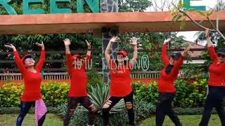 TuTu Camilio ft Pedro Capo  Salsation choreography by Will Sanchez [upl. by Enorel]