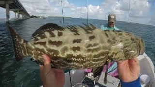 Fishing Islamorada in the Florida Keys for snappers [upl. by Blunk366]