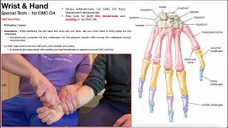 CMC Grind Test for First CMC Joint Osteoarthritis [upl. by Skurnik]