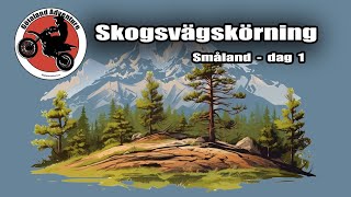 Skogsvägskörning Dag 1  Husqvarna Norden 901 KTM 690 Honda CRF250 [upl. by Acinoda332]