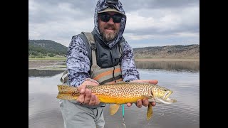 A few EPIC days of fly fishing for big healthy trout at Panguitch Lake UT [upl. by Adlitam]