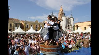 Pisada de Uva y Pregón de la Fiesta de la Vendimia de Rueda 2022 [upl. by Madson]