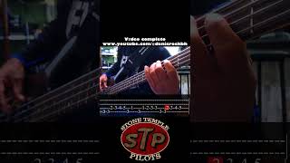 Plush STP Bass Cover with Tabs [upl. by Latsyek]