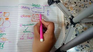 BACTERIAL CONJUNCTIVITIS part 1 MUCOPURULENT CONJUNCTIVITIS in easiest way [upl. by Basham]