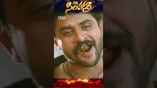 shorts  NTR All Time Mass Action Fight Scene bhumika rahuldev ytshorts simhadri4k ntr30 [upl. by Sremmus]