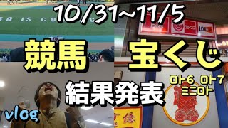 【宝くじ】ロト６ ロト７ ミニロト！東京競馬場現地に行きました！人は心があるから素晴らしいじゃないか【タケタケvlog】 [upl. by Prescott8]