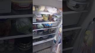 Fridge downside not cooling Problem No Frost Mr Cool Hacker fridgefreezer actechnician fridge [upl. by Feucht107]