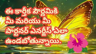 💯❤️ఈ కార్తీక పౌర్ణమికి మీ మరియు మీ పార్టనర్ ఎనర్జీస్ ఎలా వున్నాయితెలుసుకోండి [upl. by Ainex618]