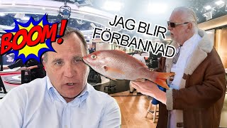 STEFAN LÖFVEN otrevlig mot LEIF MANNERSTRÖM  parodi [upl. by Elyr]