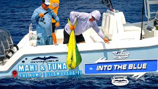 EPIC Offshore Mahi And Tuna Fishing in Islamorada [upl. by Perron]