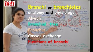 Naming the Segmental Bronchi [upl. by Karel]