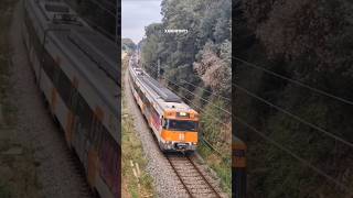 S477 próxima parada Tordera Saludo Hattrick del maquinista 📢 🔊🖐🏻 trains train trainshorts [upl. by Alegnaoj]