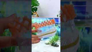 Today I will teach you how fishbowl fishtank fish aquascapers fishaquarium aquascaping [upl. by Flann]