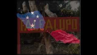 Motu o Salafai AliioSavaii feat SJ Demarco  samoa 2013 [upl. by Saiasi]