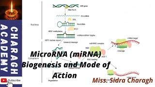 MicroRNA miRNA biogenesis and mode of action [upl. by Twum]