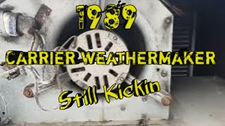 1989 carrier weathermaker leaking water hvac hvacservice hvaclife carrier [upl. by Nyvek984]