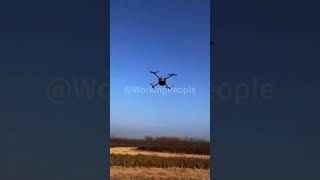 The process of drone meal delivery Good tools and machinery can quickly improve work efficiency [upl. by Annaerdna820]