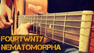 Fourtwnty  Nematomorpha  Fingerstyle Cover [upl. by Yrian]