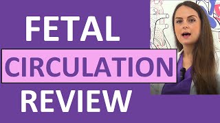 Fetal Foetal Circulation amp Changes after birth  Embryology [upl. by Karel]