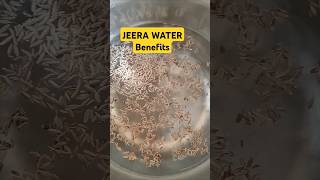 Jeera Water Benefits Cumin seeds water benefits jeerawater trendingshorts weightloss shorts [upl. by Ahsinid]