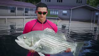 PS４版Bassmaster Fishing2022 初日だけど大物がゲット出来たぜ！ [upl. by Chelsea880]