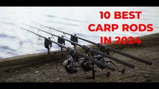 10 BEST CARP RODS IN 2024 [upl. by Eelrihs242]