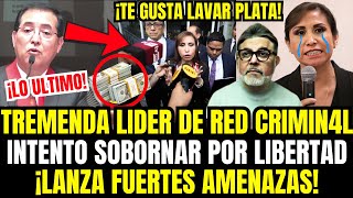 URGENTE Juez destruye a Patricia Benavides en juicio y teme ir presa como chibolin [upl. by Ayatnahs]