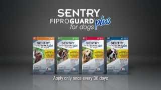 How to Apply SENTRY Fiproguard Plus for Dogs [upl. by Sankey455]