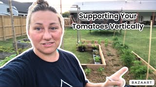 Growing Tomatoes Vertically Tips for Continuous Support and Care [upl. by Los]