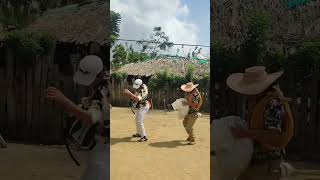 coje tu maleta y vete champetaurbana baile musica humor comedia [upl. by Fanchie]