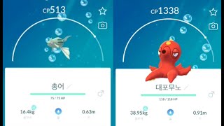 포켓몬고 총어 진화 대포무노 Remoraid Octillery Pokémon GO [upl. by Aziul]